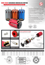 Load image into Gallery viewer, Losi Mini B/T Surpass Hobby Motor and ESC combo